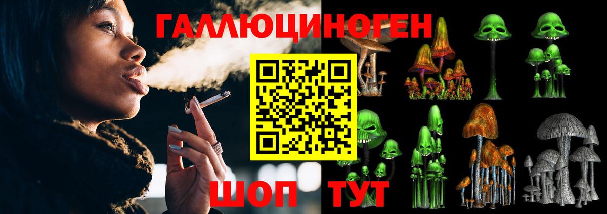 Галлюциногенные грибы GOLDEN TEACHER  купить наркотики сайты  Тольятти  Псилоцибиновые грибы Psilocybe  Вход с VPN 